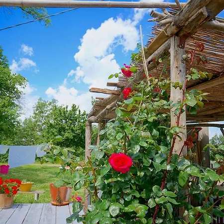 Bed & Breakfast Parco Dei Cavalli 3*