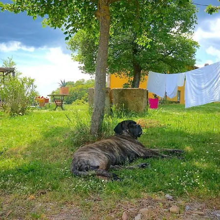 Parco Dei Cavalli 3* Castel San Pietro Terme