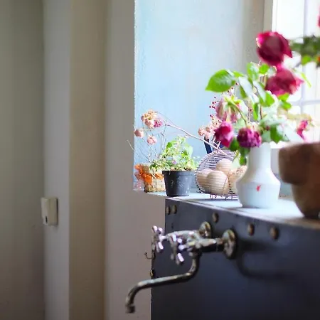 Bed & Breakfast Parco Dei Cavalli