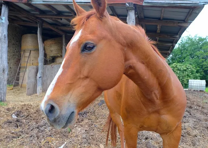 Parco Dei Cavalli לינה וארוחת בוקר 3*