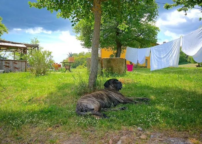 Parco Dei Cavalli 3* קסטל סן פייטרו טרמה